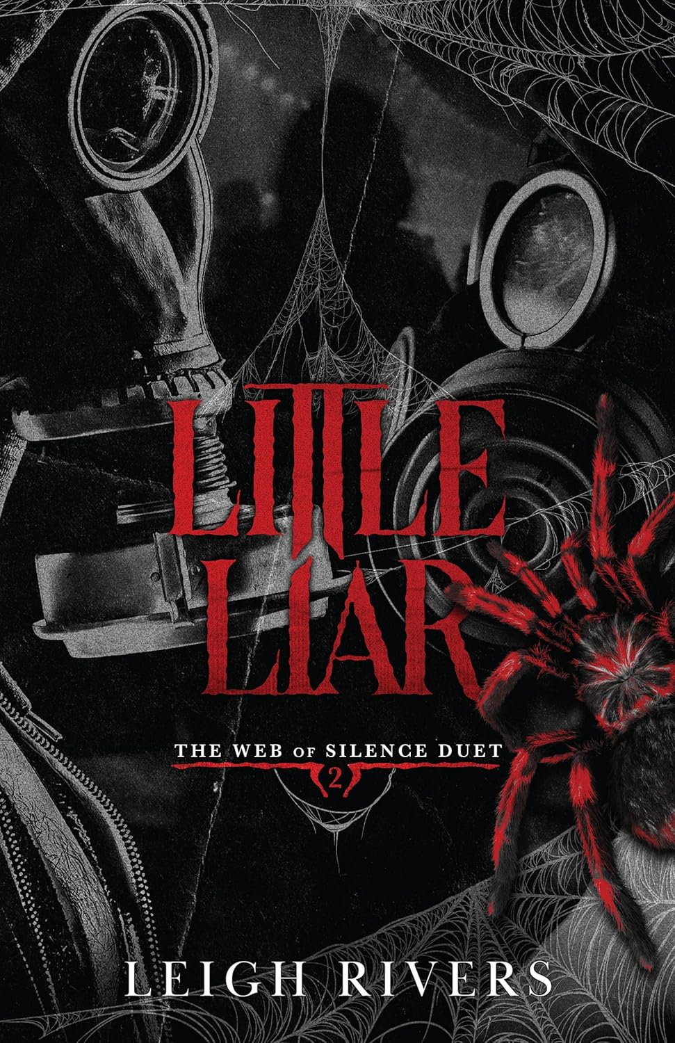 Little Liar (The Web of Silence Duet 2)