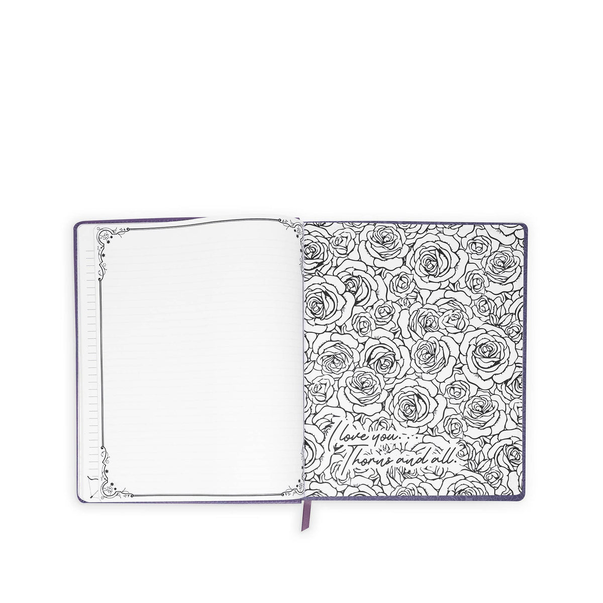 Creative Journal, A Court of Thorns and Roses
