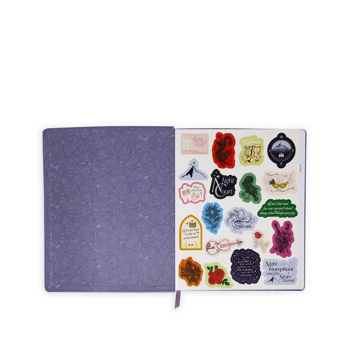 Creative Journal, A Court of Thorns and Roses