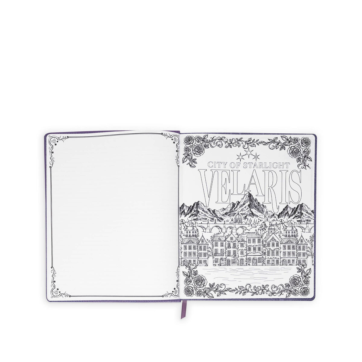 Creative Journal, A Court of Thorns and Roses