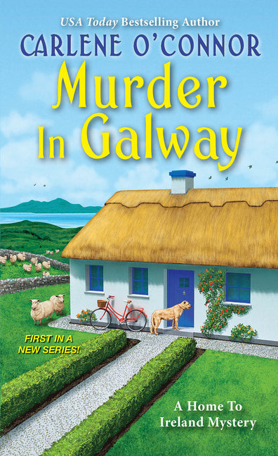 Murder in Galway - Ingram
