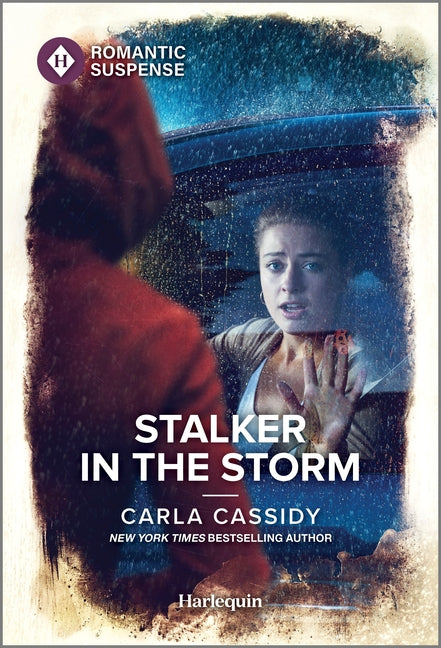 Stalker in the Storm (Original) - Ingram