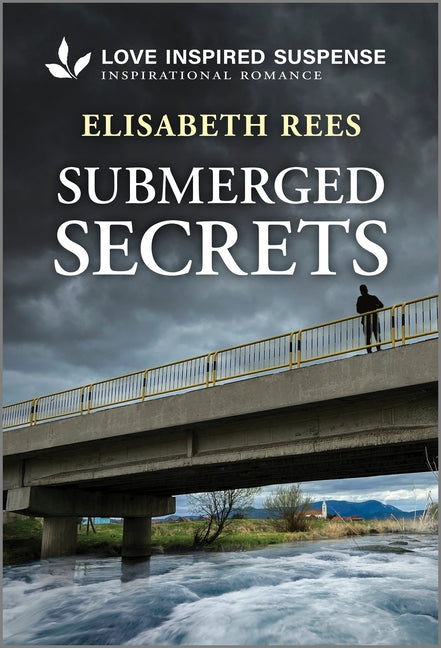 Submerged Secrets (Original) - Ingram