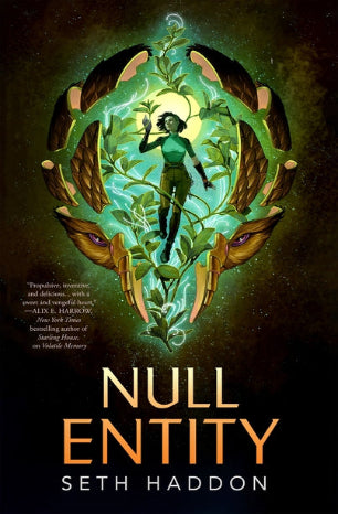 Null Entity - Ingram