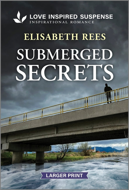 Submerged Secrets (Original) - Ingram