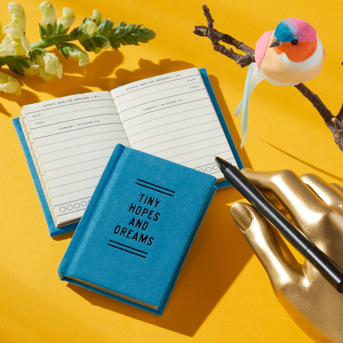 Brass Monkey Tiny Hopes And Dreams Tiny Diary