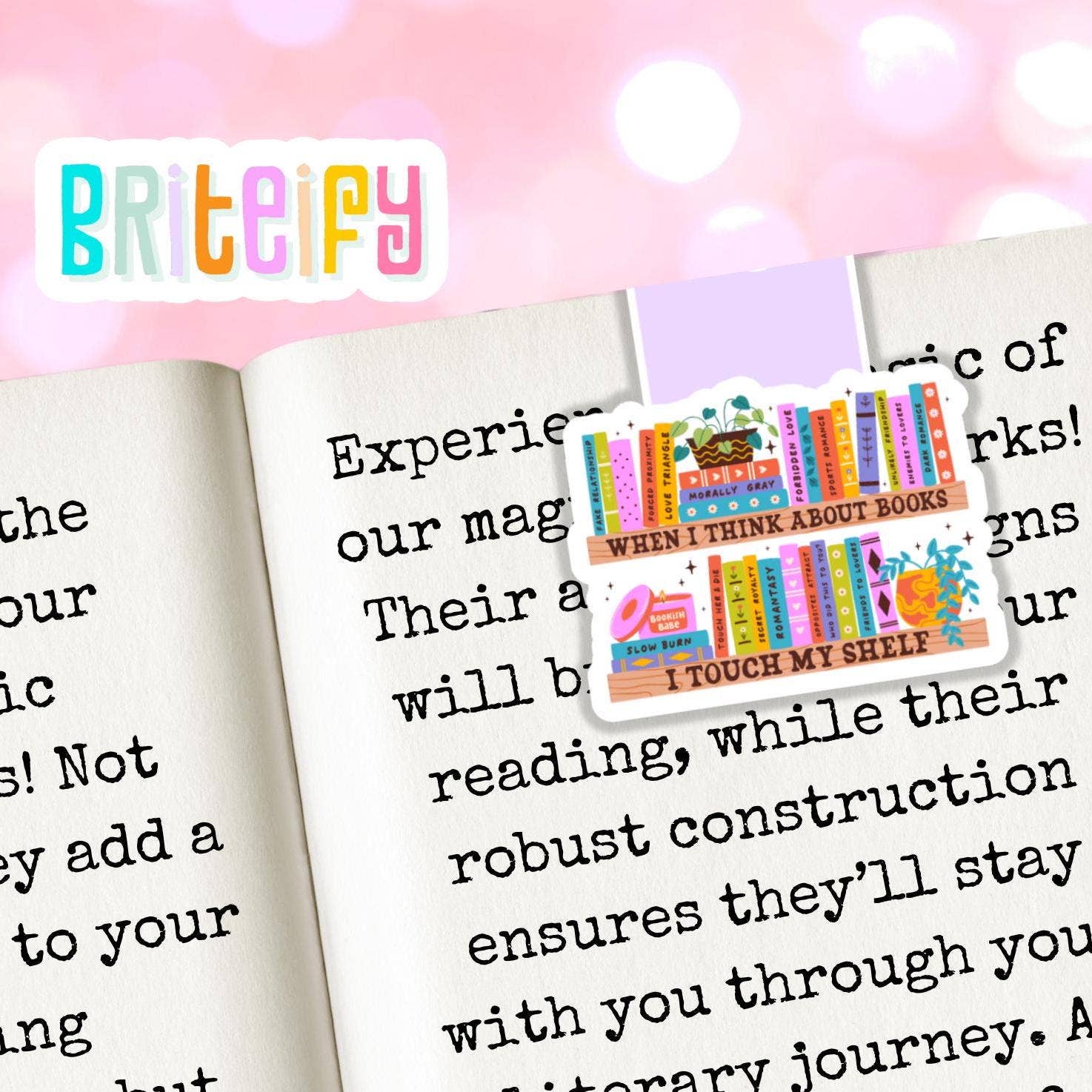 Raccoon Library Card Magnetic Bookmark: Book Lover Gift