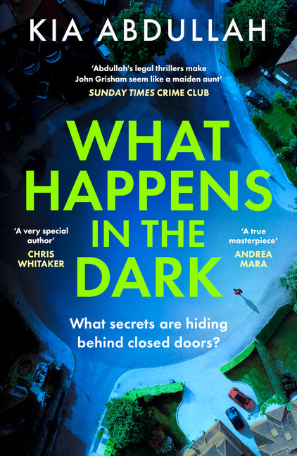 What Happens in the Dark - Ingram